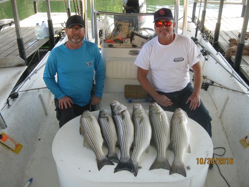 Nice Striped Bass